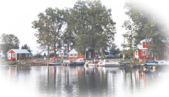 Pontoon and rowboat rentals available at Moon Lake Resort